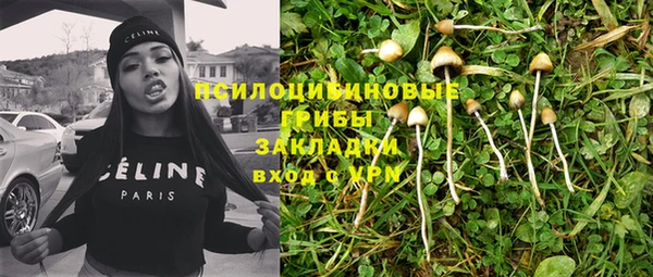 ешки Алексин